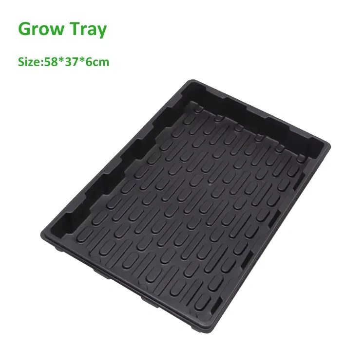 Automatic Barley Grass Grower Machine - Hydroponic Fodder System with Trays for Fresh Animal Feed