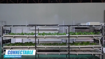 Mobile Vertical Grow Rack System - Indoor Microgreens Shelves with Adjustable Height & Wheels