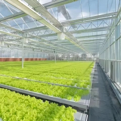 Mobile Vertical Grow Rack System - Indoor Microgreens Farming with Adjustable Shelves and LED Grow Light