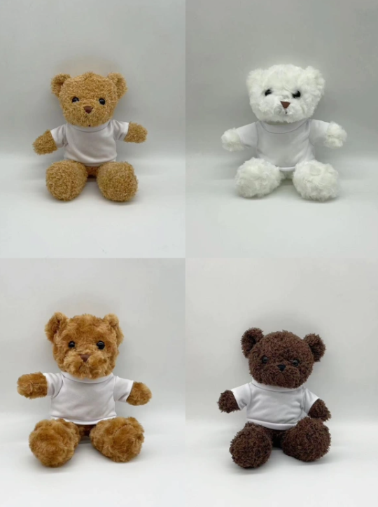 Fiona Valentine's Day Gifts Teddy Bears with Sublimation Shirts Air Shipping
