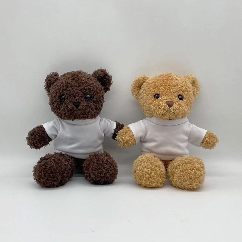Fiona Valentine's Day Gifts Teddy Bears with Sublimation Shirts Air Shipping