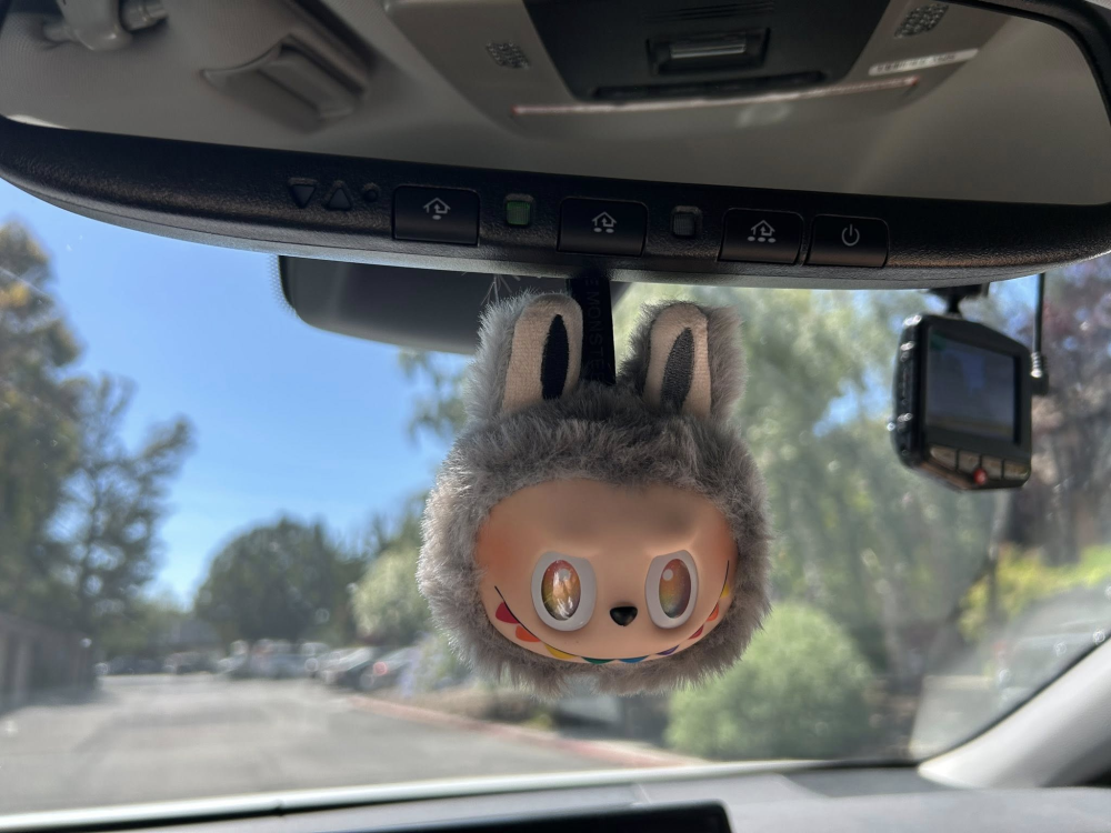 LABU Keychains Shipped From China By Sea