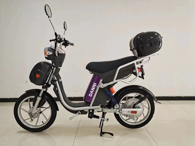 DANNI Peter Pan – Wholesale Custom Electric Chopper Bike – 800W Motor, 18-Inch Tires, 48V/60V Battery