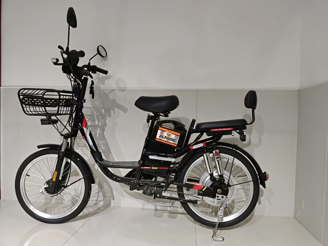 DANNI Princess Yilan – Wholesale Electric Bike – 22-Inch Steel Frame, 450W Motor, 48V12A Battery