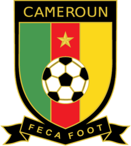 Cameroon logo