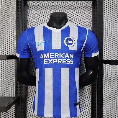 2025/26 Brighton & Hove Albion Home Jersey Player Version