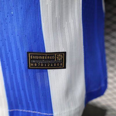 2025/26 Brighton & Hove Albion Home Jersey Player Version