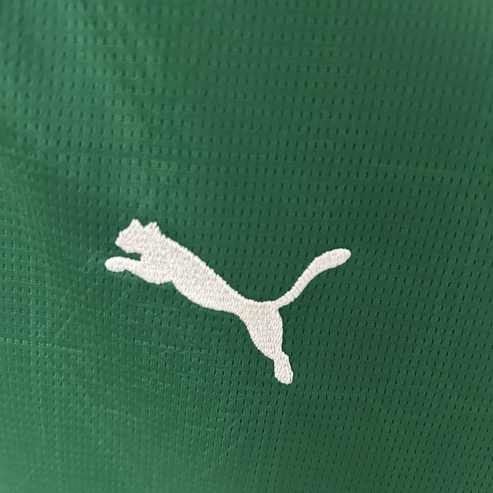 2025/26 SE Palmeiras Home Women's Jersey