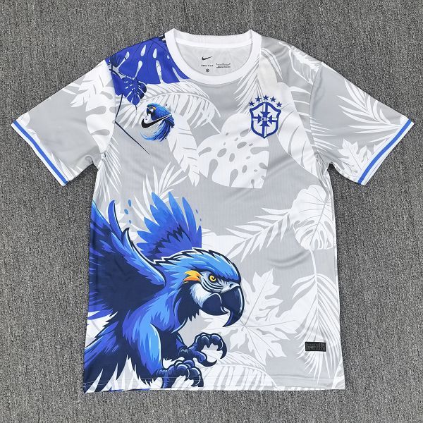 2025/26 Brazil Special Edition Jersey