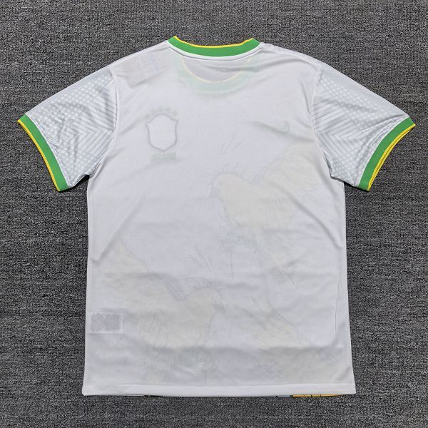 2025/26 Brazil Special Edition Jersey