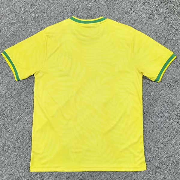2025/26 Brazil Special Edition Jersey