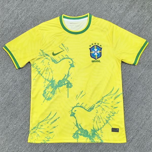 2025/26 Brazil Special Edition Jersey