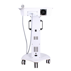 RF-1 FRACTIONAL RF NEEDLE SYSTEM