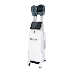 HIEMT with RF Body Sculpt Machine