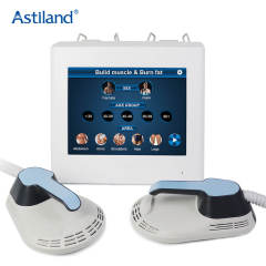 Portable Tesla 2 Handle Non-Invasive Hi-Emt Ems Body Sculpting Machine