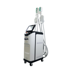 Cryolipolysis & EMS Sculpting Machine for Fat Reducing and Muscle Building