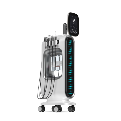 Aeris 8 in 1 Oxygen Bubble Hydra Facial Beauty Machine