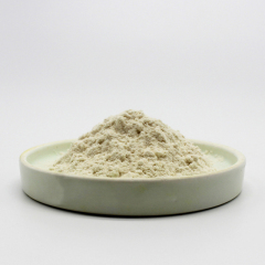 Panax ginseng extract