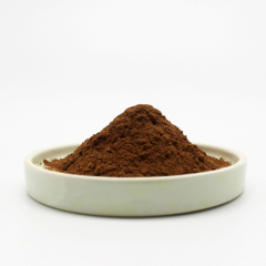 Ginkgo biloba extract