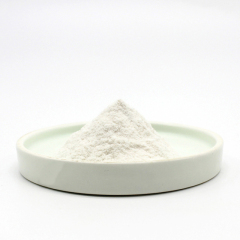 Coleus forskholii extract