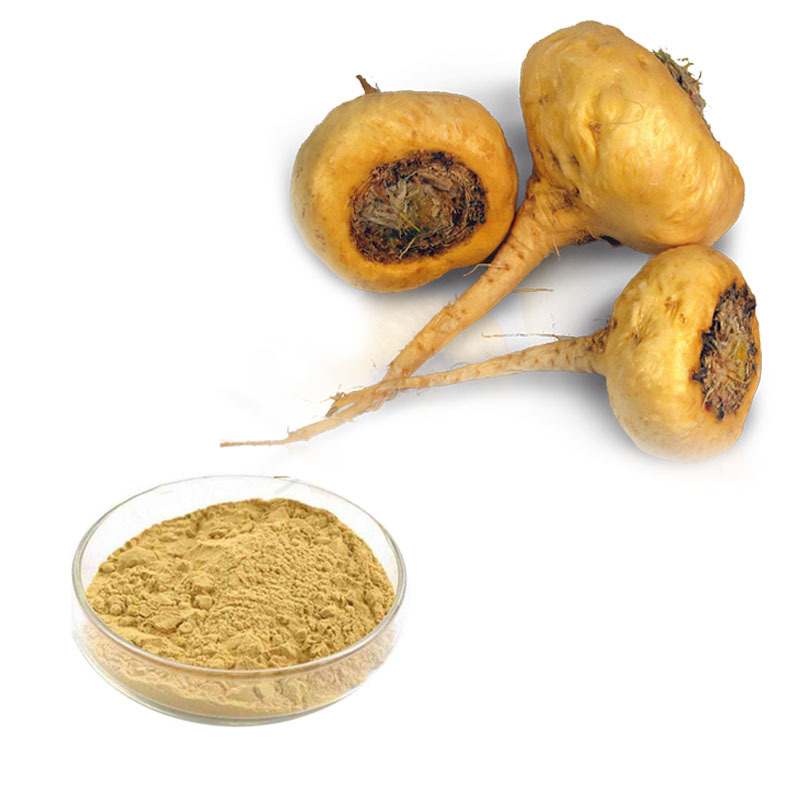 Maca Root Extract