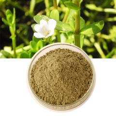 Bacopa monnieri extract