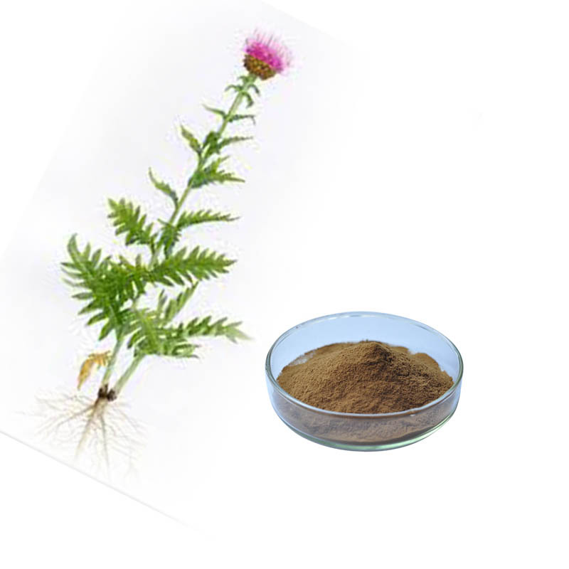 Rhaponticum carthamoides extract