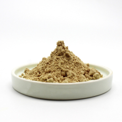 Astragalus extract