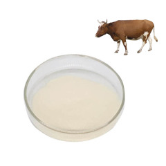 Hydrolyzed Bovine Collagen