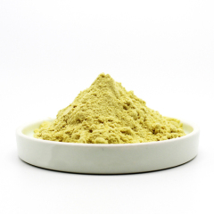 Mango juice pure powder