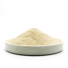 Apple juice pure powder