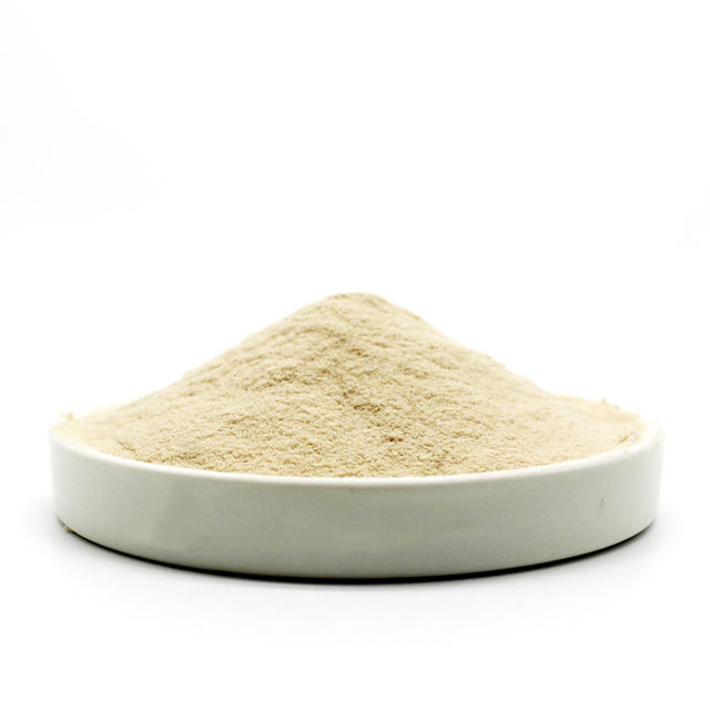 Apple juice pure powder