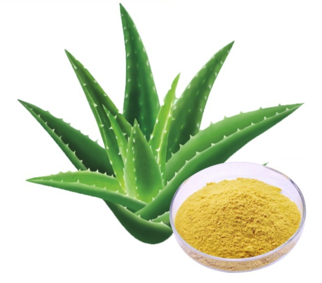 Aloe  extract