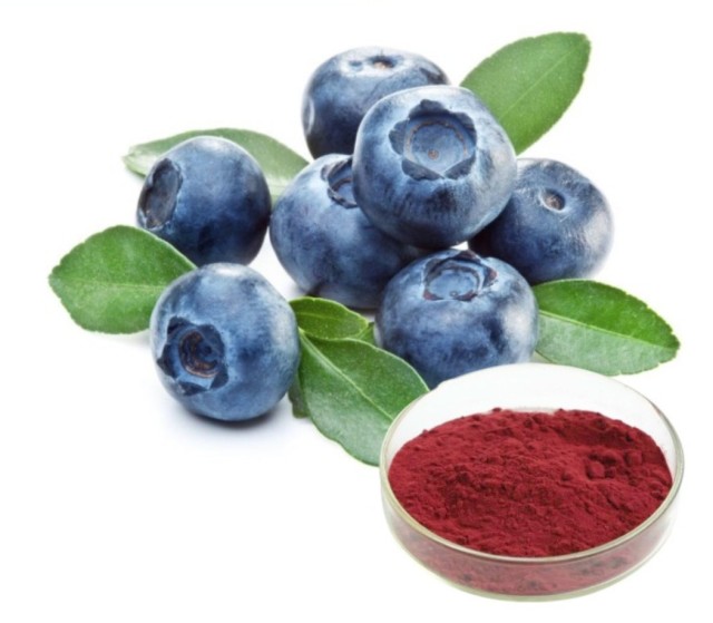 Bilberry Extract