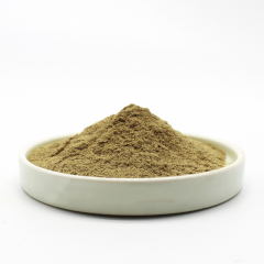 Bacopa monnieri extract
