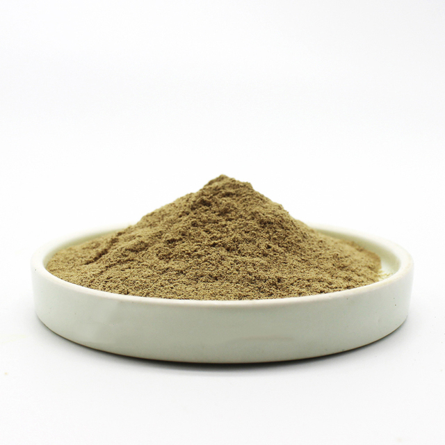 Bacopa monnieri extract