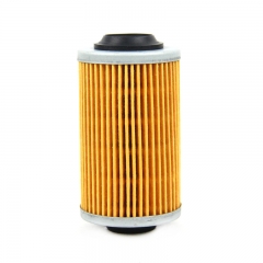 Fuel Filter,Cartridge