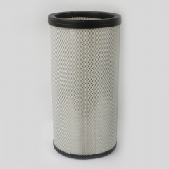 Air Filter (Primary)