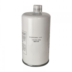 Filtro de combustible, roscado, 160603020018B