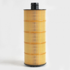 Oil Filter 630DA1013009A,800181303