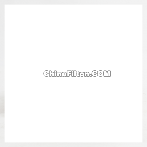 FILTRO DE COMBUSTIBLE, CARTUCHO SEPARADOR DE AGUA P502422, FF5795, PF7982