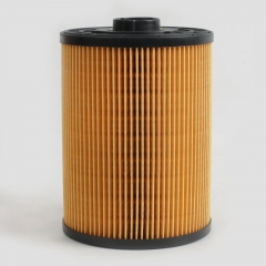 Fuel Filter, Cartridge YN21P01157R100J1J