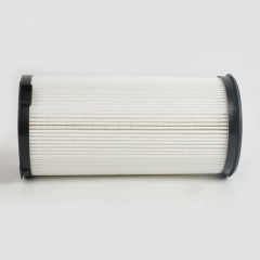 Fuel Filter 6010000000785,FS20190,SN35039,FS202500...