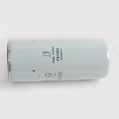 Fuel Filter, Spin On 22480372,FF254,F81083