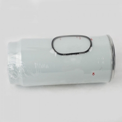 Fuel Filter 160603020024A,PL420