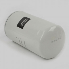 Oil Filter, Spin On 1DF0-60301