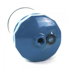 Filtre à carburant à visser XLS-1105102LD300