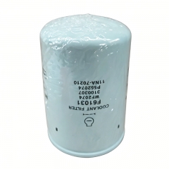 Filtre de liquide de refroidissement F61031