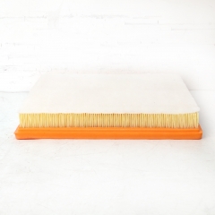 Cabin Filter LP2-9601-AA