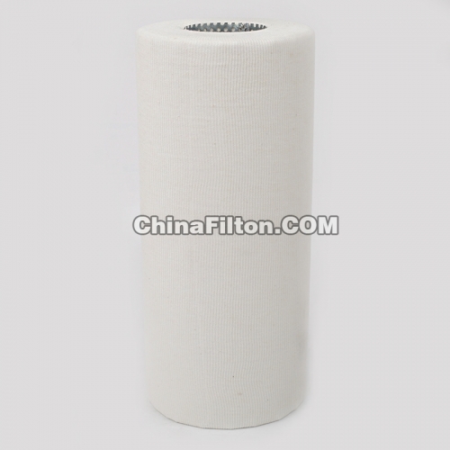 Fuel Filter, Cartridge P550032